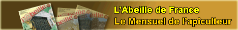 Bannière
