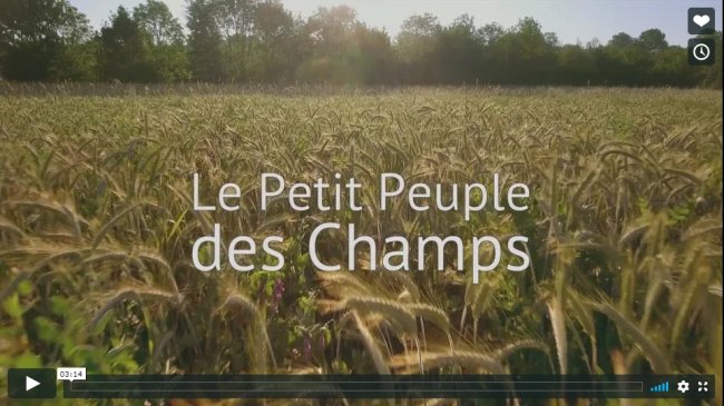 petit peuple champs petit peuple champs