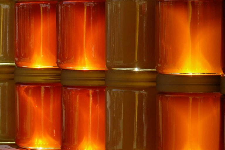 Des pots de miel