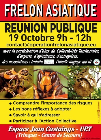 affiches 375x520mm bat def