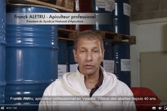 declin-abeilles-aletru-tourneret