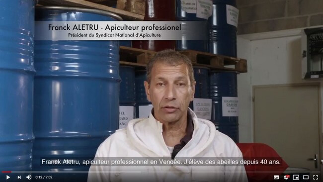 declin-abeilles-aletru-tourneret