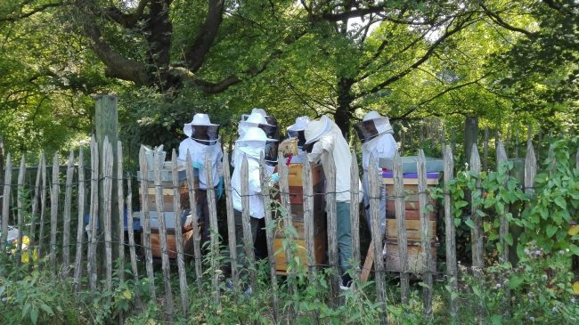 rucher-ecole-vincennes