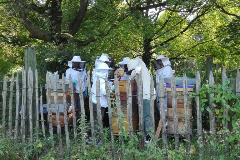 rucher-ecole-vincennes