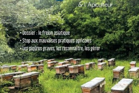 labeilledefrance-mai-2020