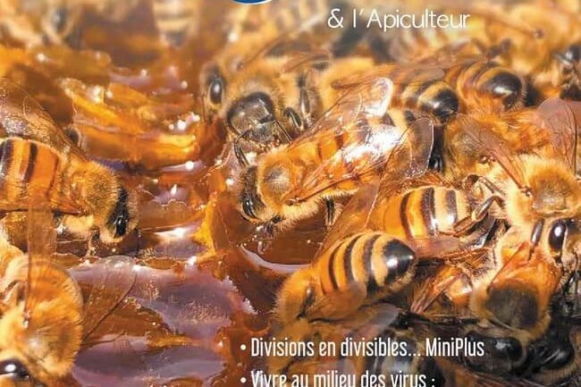 labeilledefrance-juin-2020