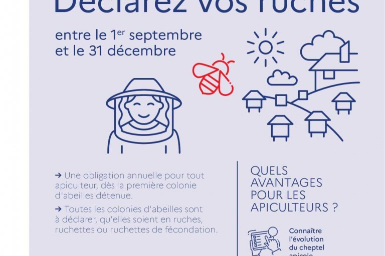 déclaration_ruches2020-1