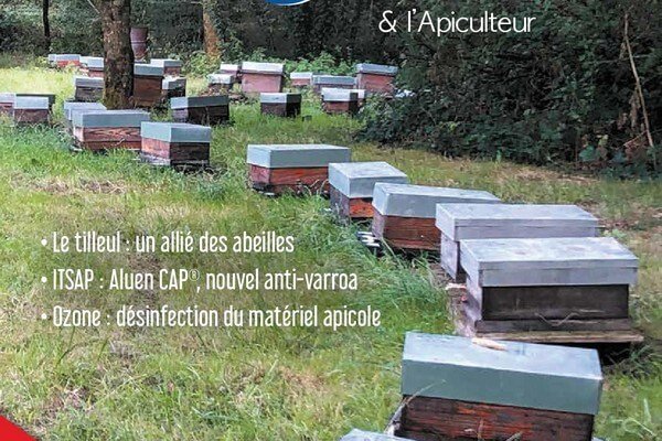 labeilledefrance-1082-septembre-2020