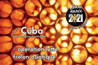 labeilledefrance-janvier2021