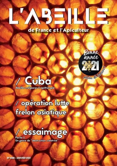 labeilledefrance-janvier2021