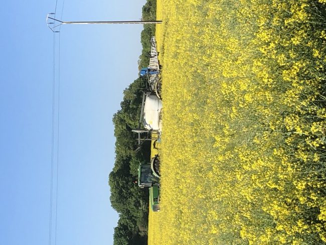 traitement-colza-fleurs-st-aubin-Luc-francis-23-04-2020