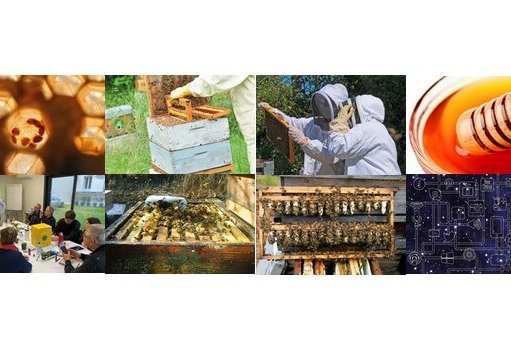 formation-sna-apinov-2022