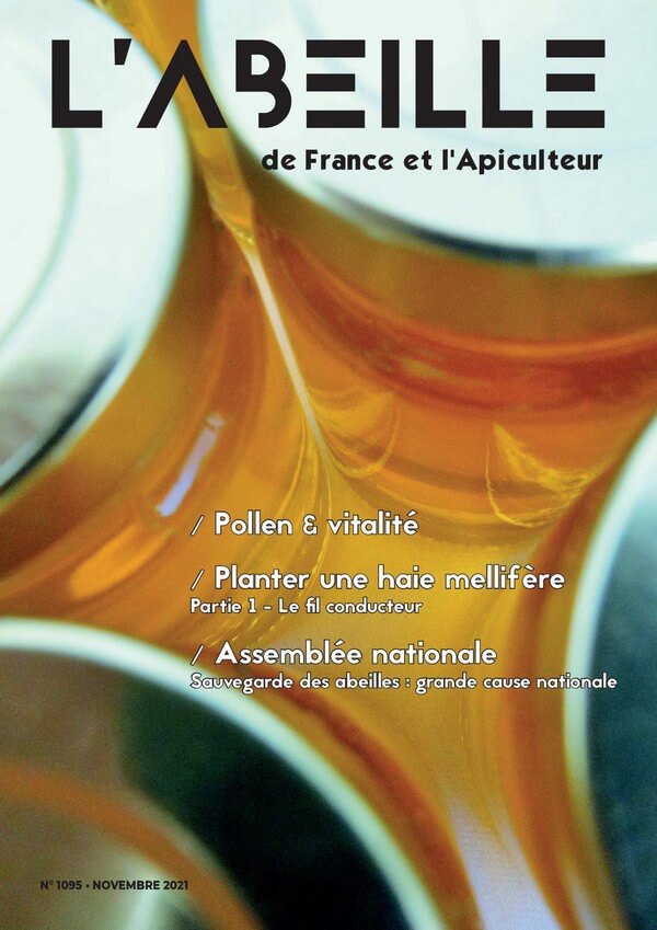 labeilledefrance-novembre-2021