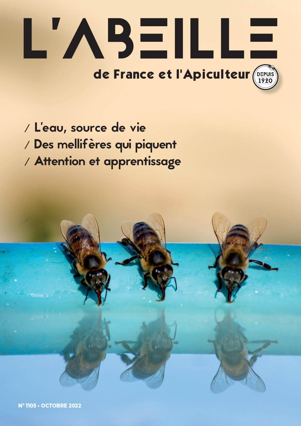Edito de L’Abeille de France – Octobre 2022 – Frank Alétru – Syndicat ...