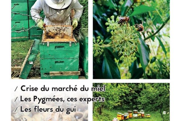 labeilledefrance-1120-fevrier-2024