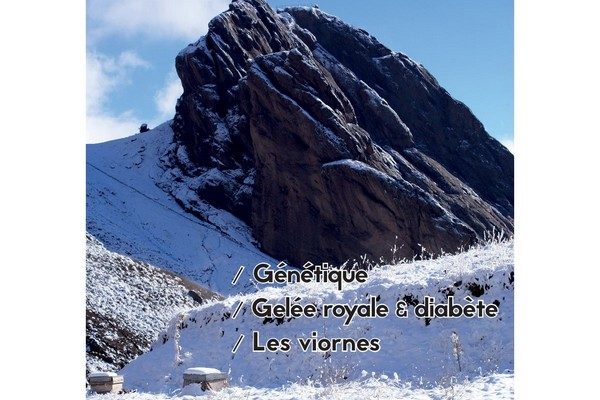 labeilledefrance-decembre-2023