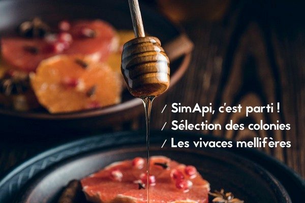 labeilledefrance-novembre-2023