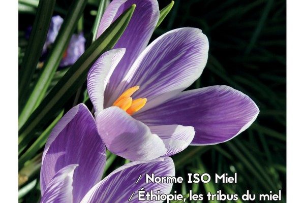 labeilledefrance-avril-2024