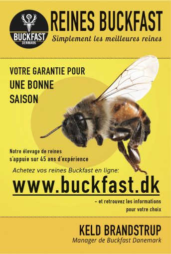 Annonce pour des reines buckfast