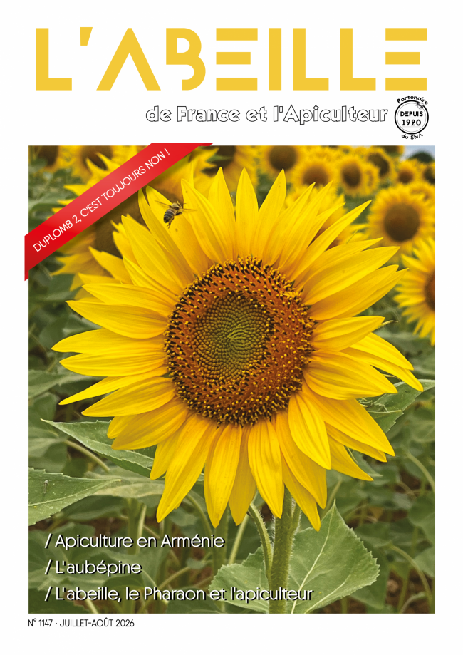 labeilledefrance-juillet-aout-2026-1147