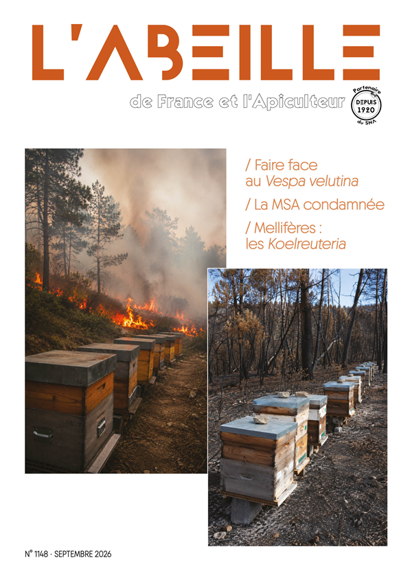 labeilledefrance-septembre-2026